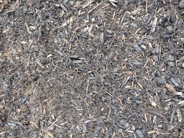 Shredded Hardwood