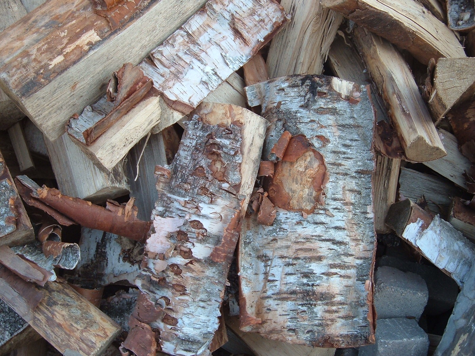 Birch 1/2  Face Cord 