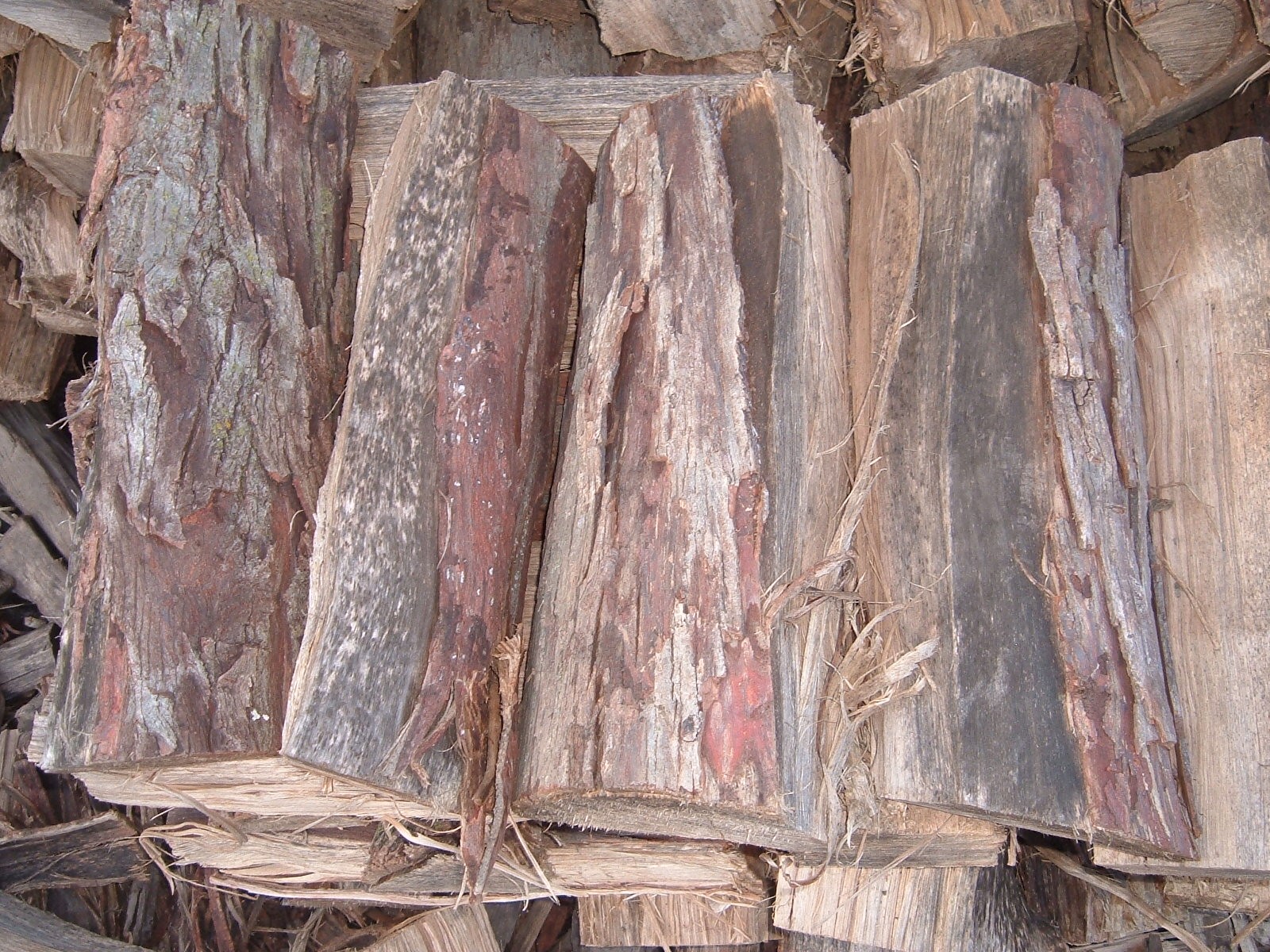Hickory Face Cord